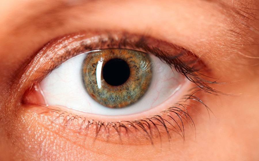 5 Facts Your Eye Doctor Wants You to Know  