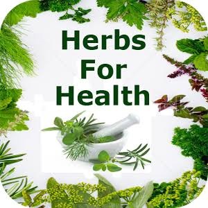 Know How Herbs are Good in condition of mental stress