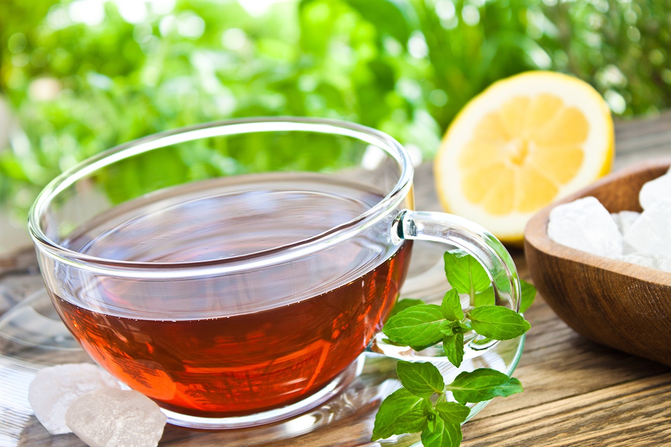 Organic Tea – Going Back To The Roots For Better Health and Sustainability