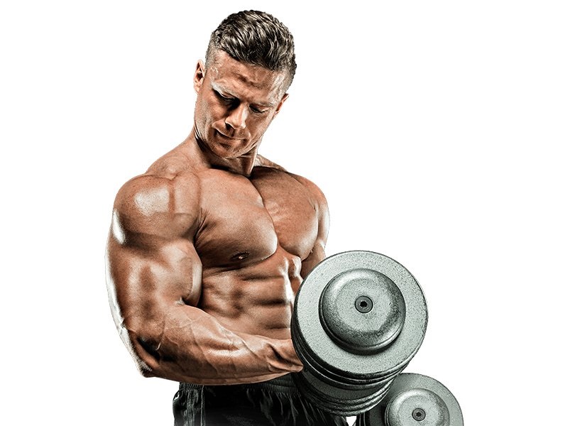 A Short Introduction to Anabolic Steroids