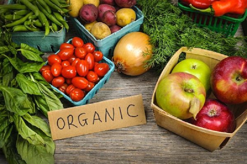 Benefits to Take Advantage of When Eating Organic