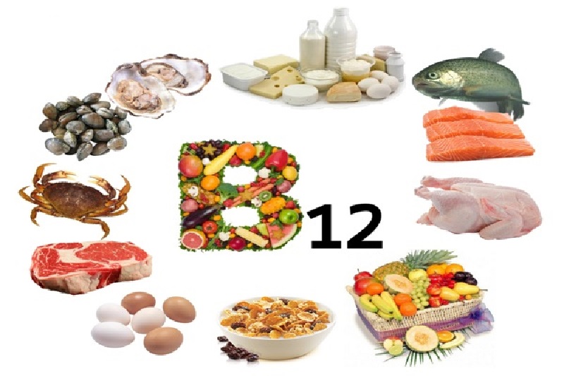 How important is vitamin B12?