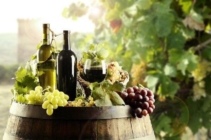 Guide to Organic Wine