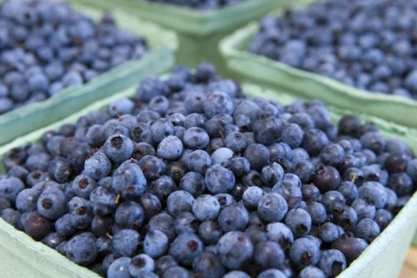 Are Blueberries Acidic?