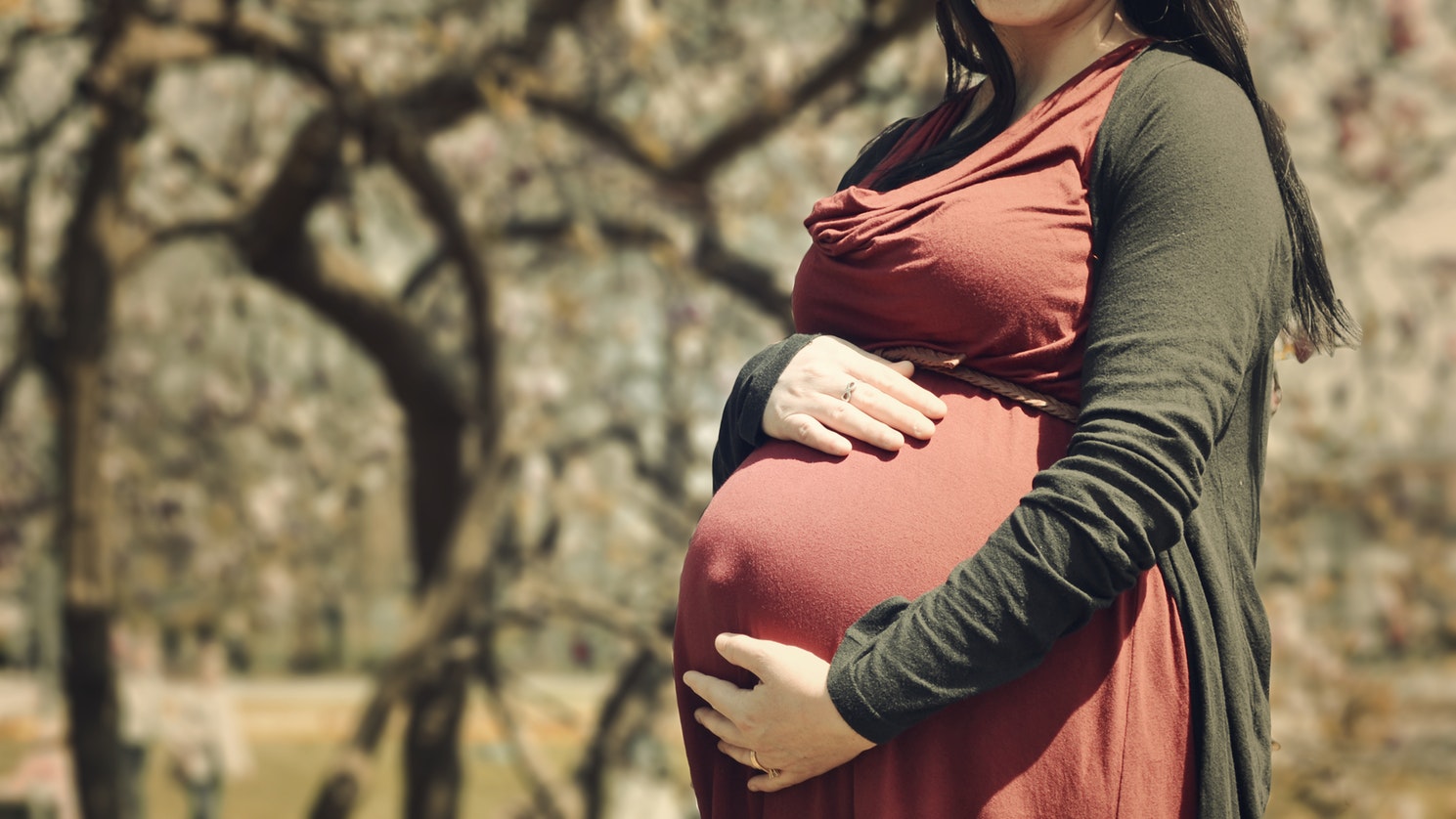 13 Tips When Choosing a Surrogate Mother Who Will Carry Your Baby
