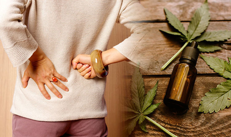 How To Reduce Pain With CBD