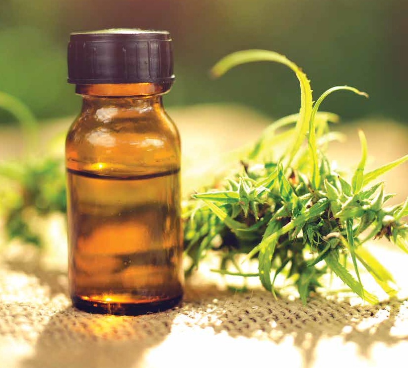 The right Supply for the CBD Oil