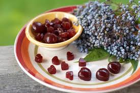 Elderberries And Why They Are Good For Kids