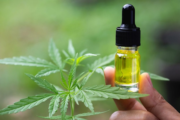 Factors That Will Help You Find the Top CBD Oil Brands Online