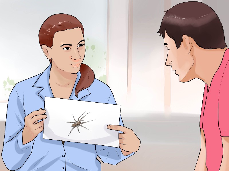 Therapy and counseling – The ultimate elixir for treating phobias