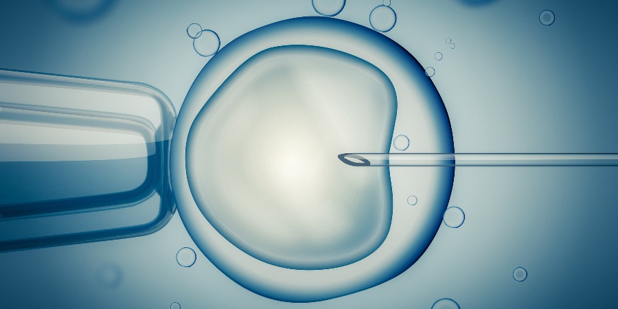 Can In Vitro Fertilization (Ivf) Result In A Pregnancy With Just One Embryo Transfer?
