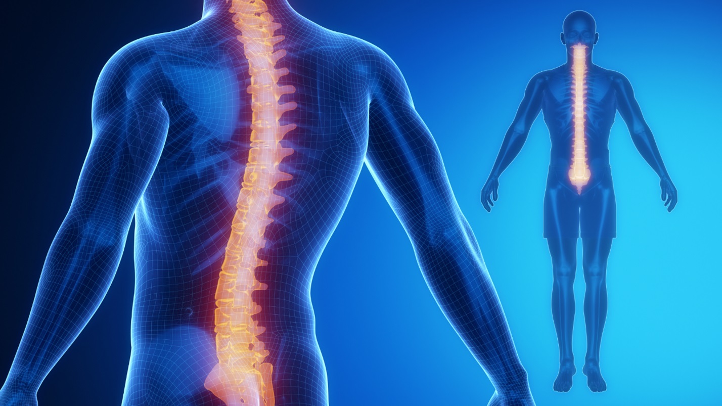 Scoliosis: How Does it Affect the Digestive System?