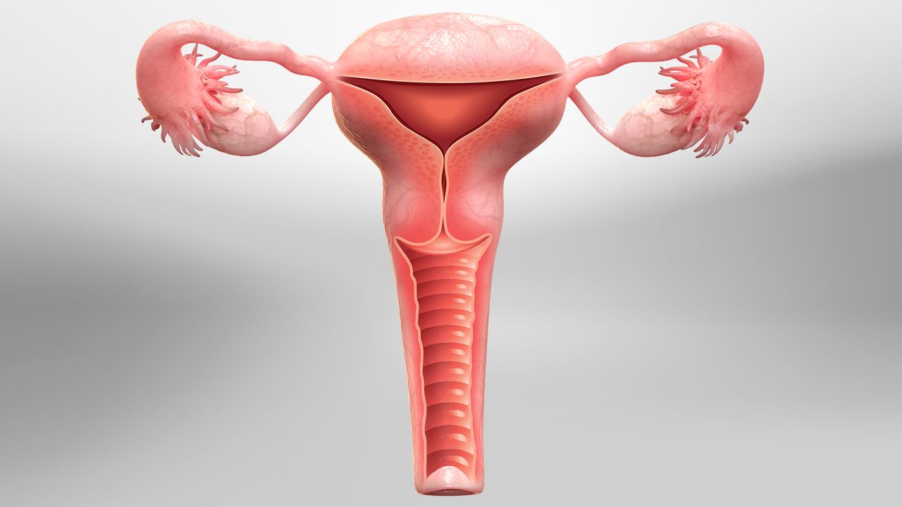 Top 7 Reasons to Consider Hysterectomy